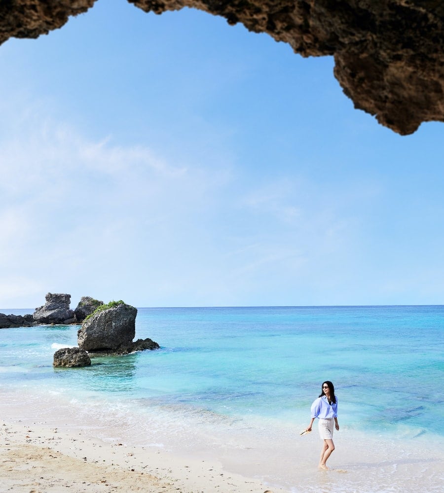 [天然]沖縄県産キイロダカラ200個 天然]沖縄県産キイロダカラ200個